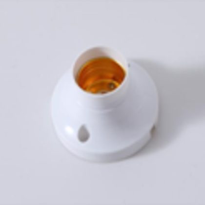 roseti-2